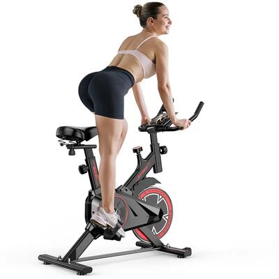 iscooter QK101 cyclette con 100 livelli di resistenza magnetica