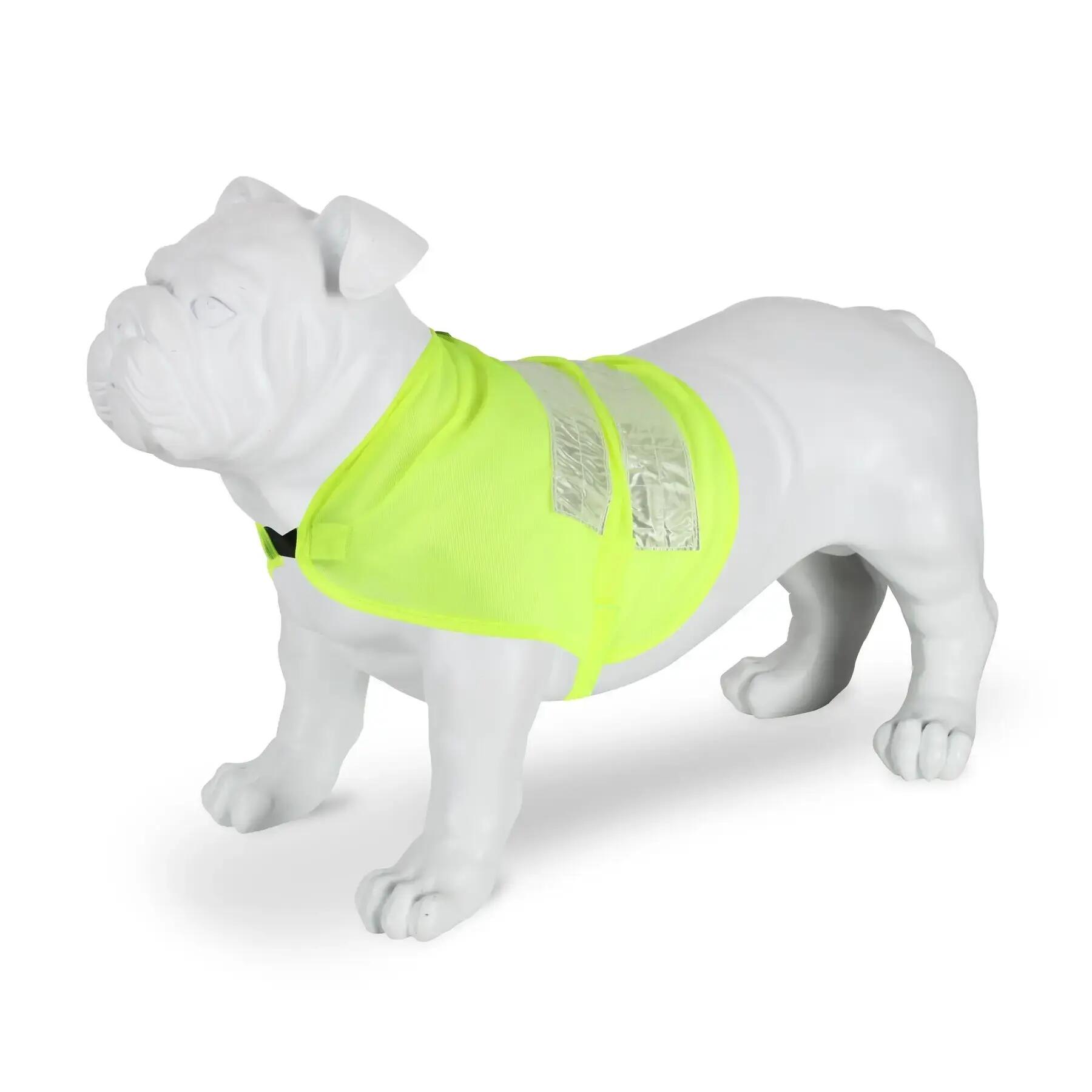 Gilet riflettente per cani Regatta 3/4
