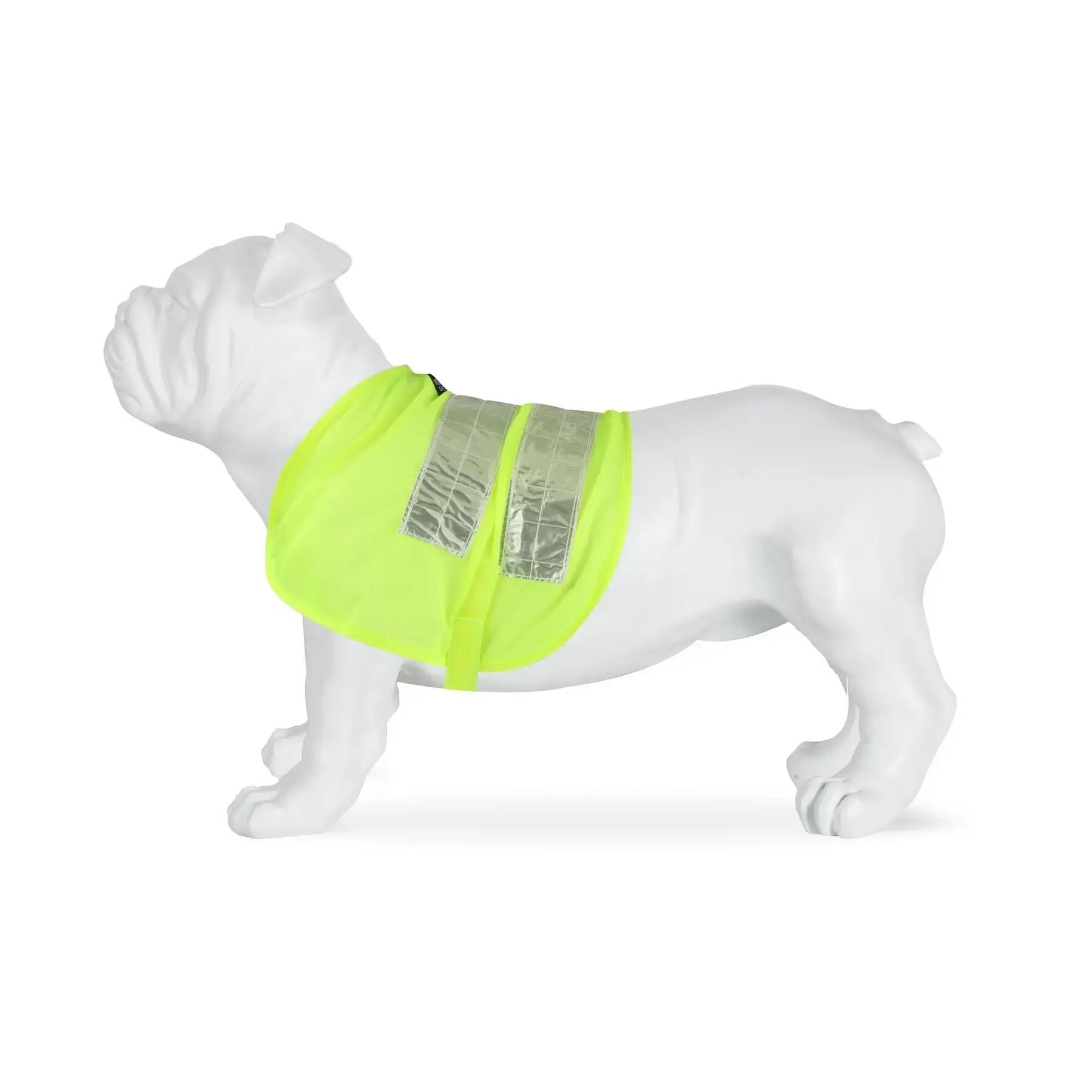 Gilet riflettente per cani Regatta 2/4