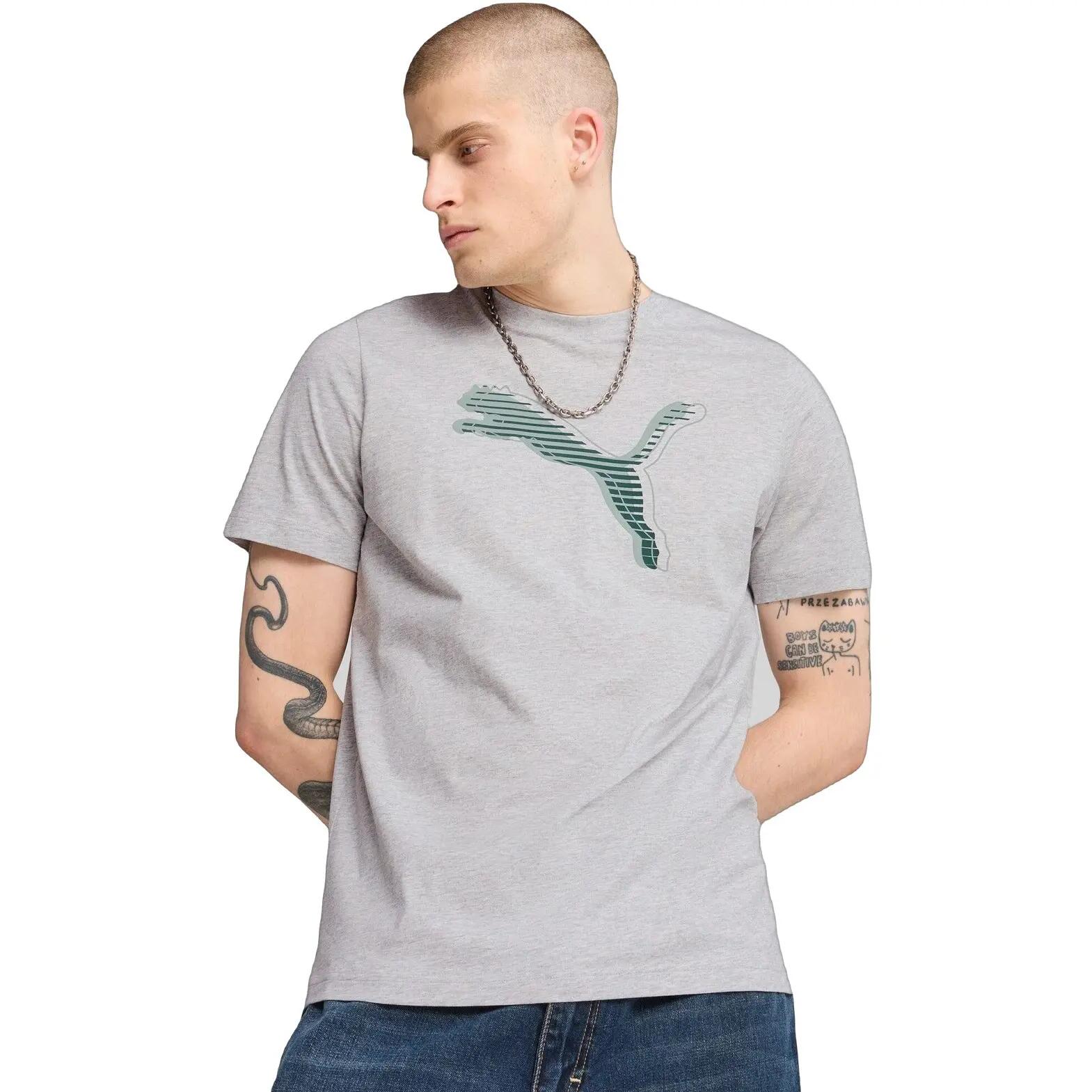 PUMA picture