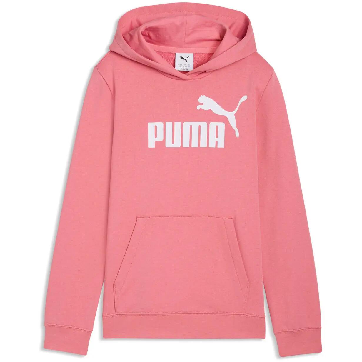 PUMA picture