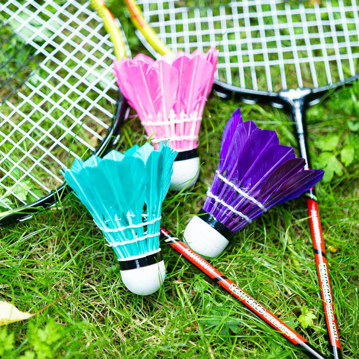 Badmintonové míčky z peří NILS NBL6213 9/9