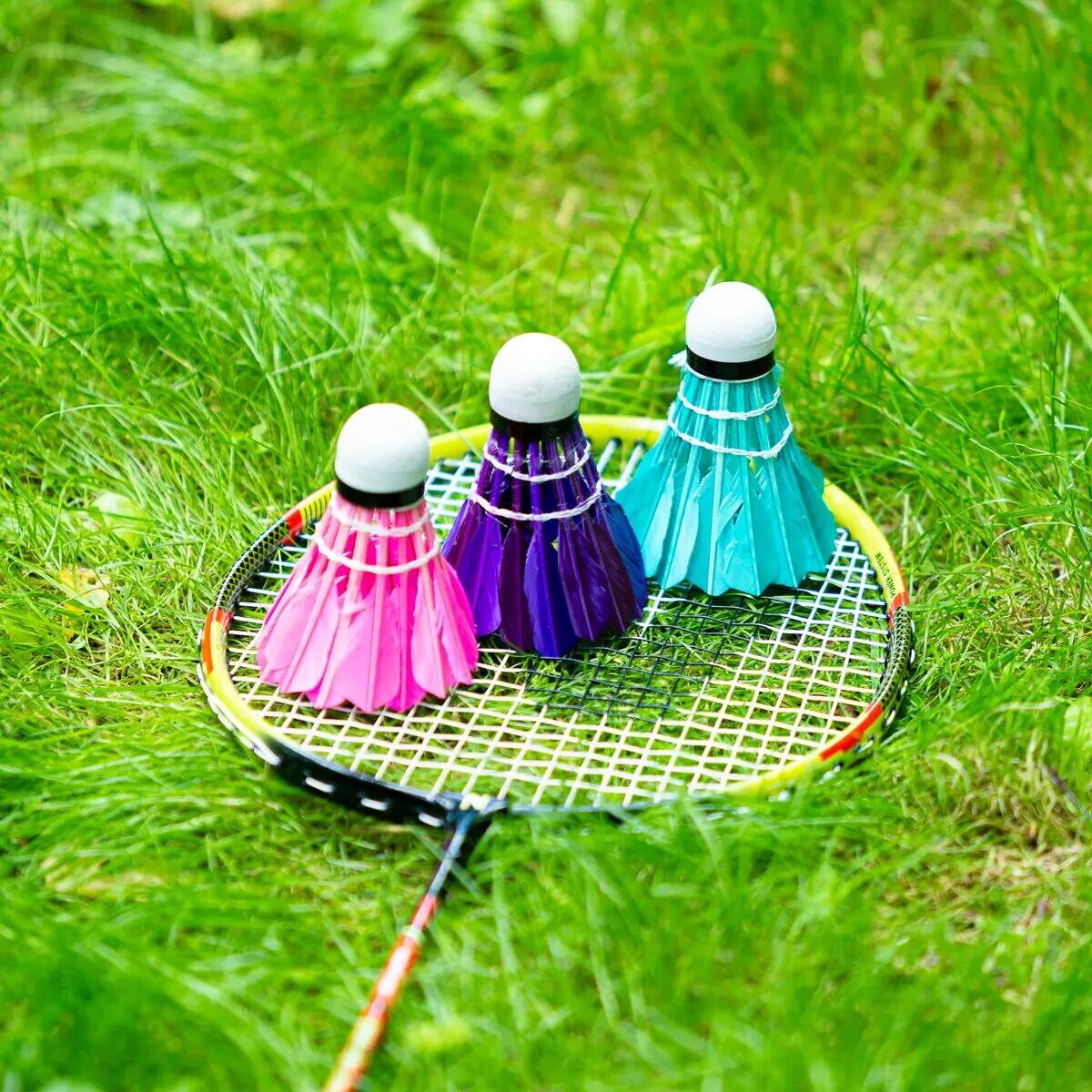 Badmintonové míčky z peří NILS NBL6213 8/9