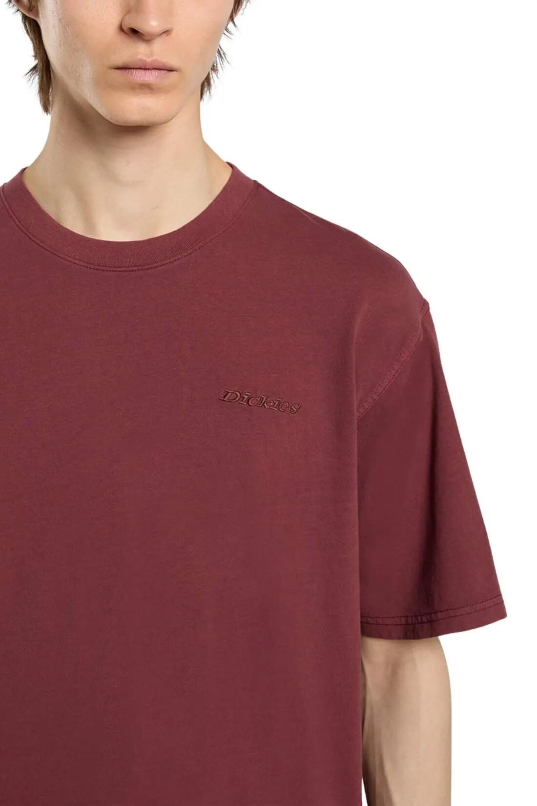 T-shirt - Casual - Homem - Plentywood - relaxed-fit, estampado - bordeaux 4/5