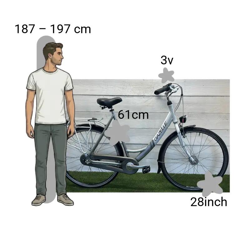Gebraucht Gazelle Esprit 2/4