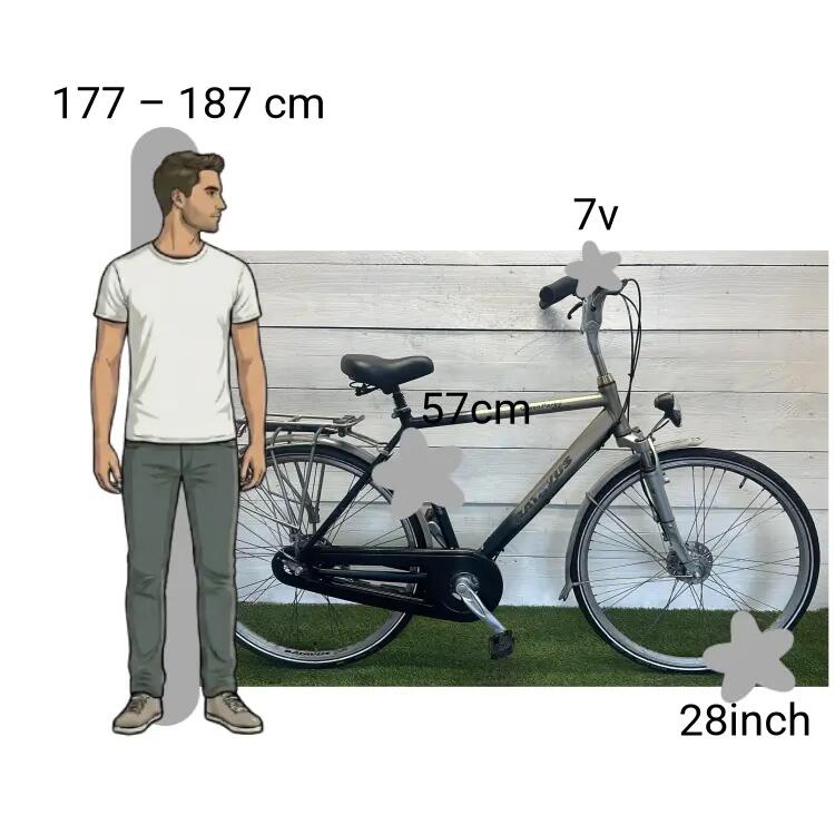 Bicicletta usata Batavus Green Parks 2/4