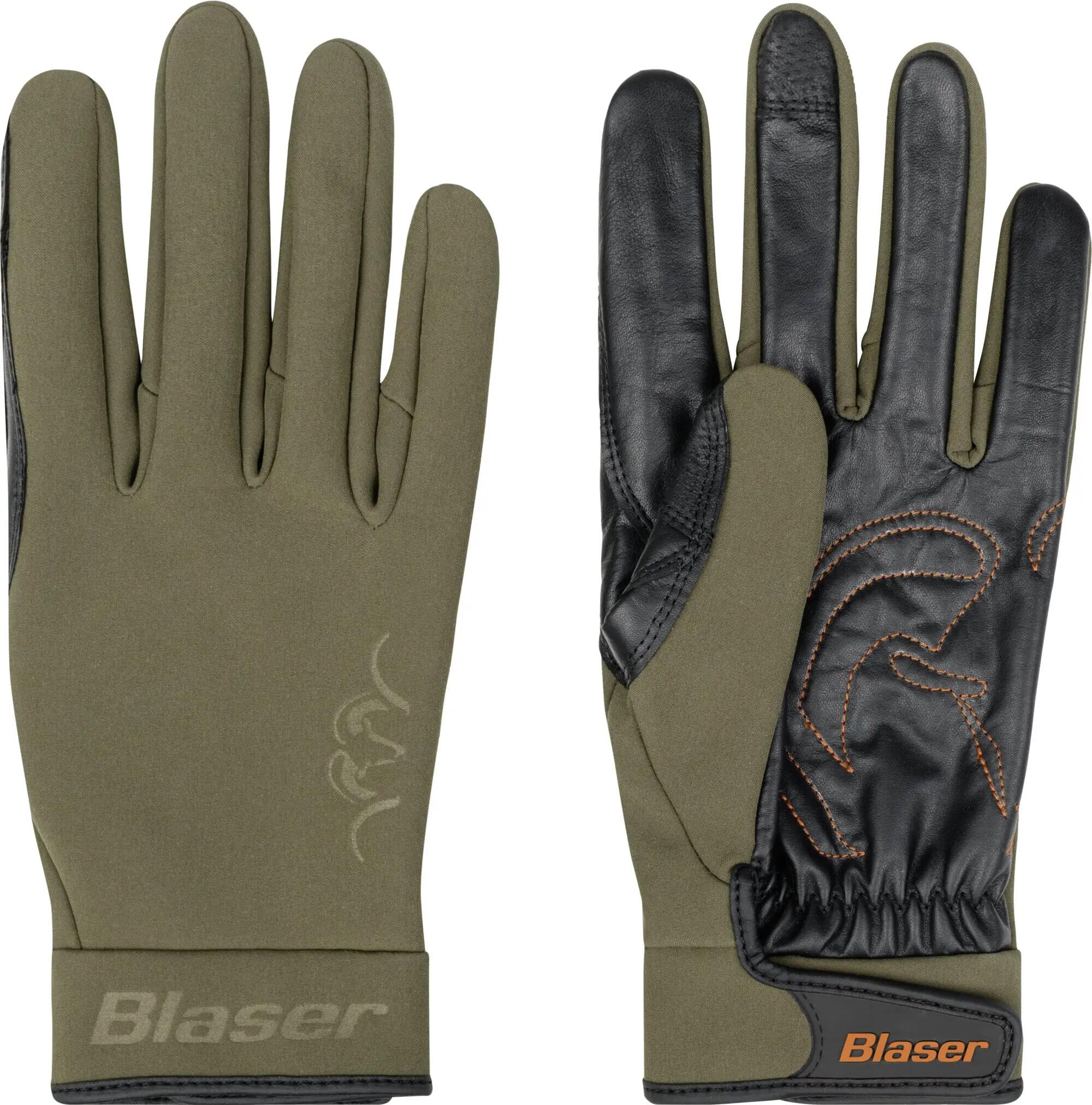 BLASER picture