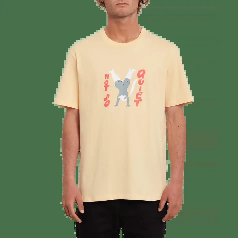 VOLCOM picture