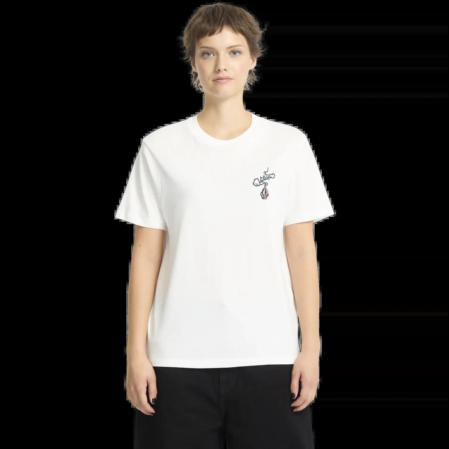 VOLCOM picture