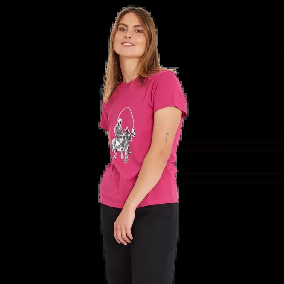 VOLCOM picture