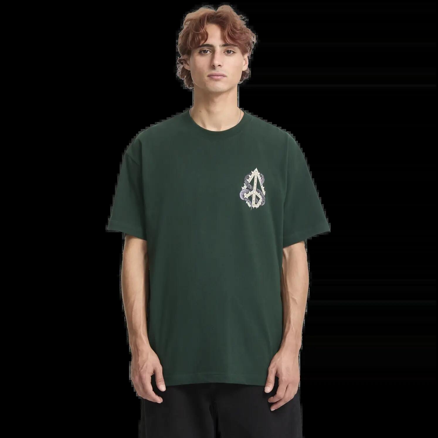 VOLCOM picture