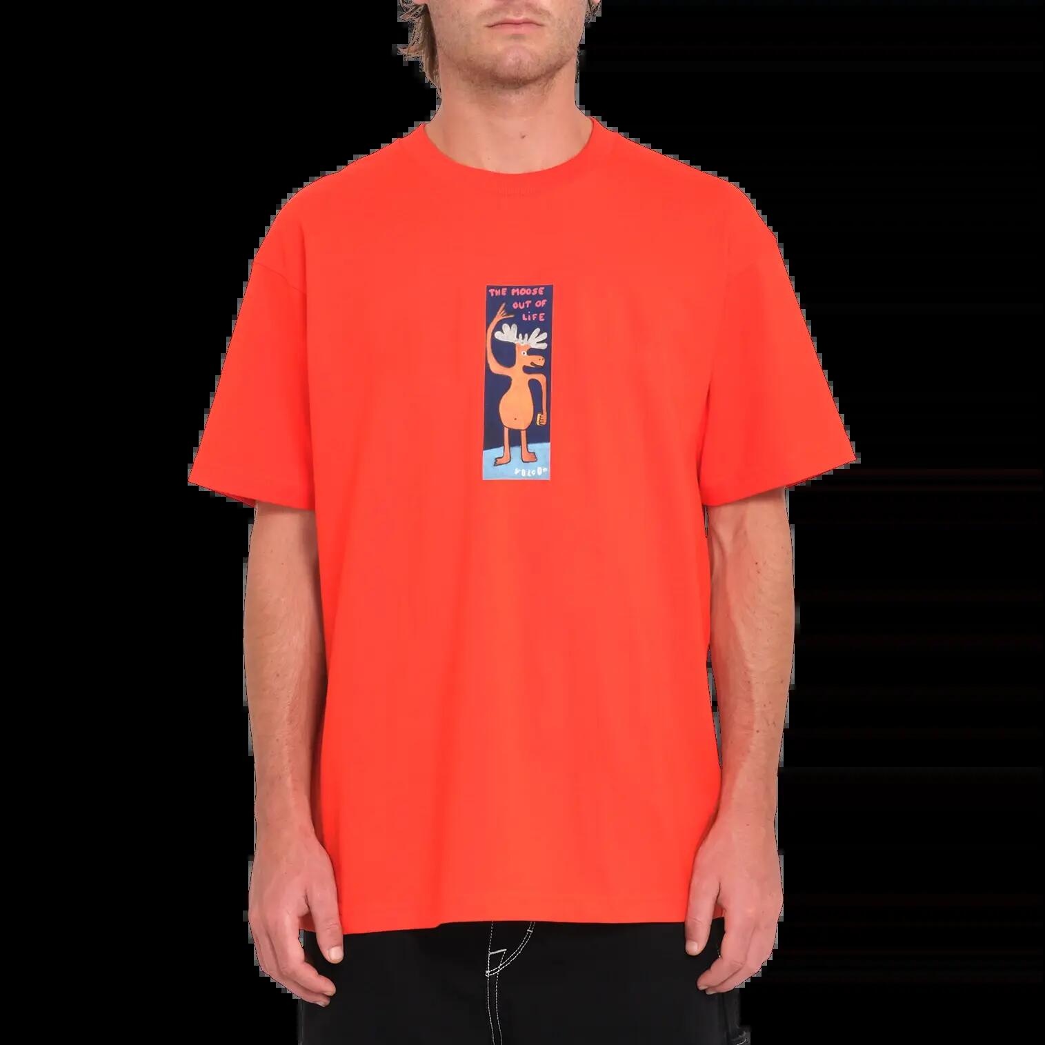VOLCOM picture