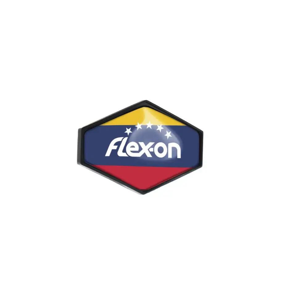FLEX-ON picture