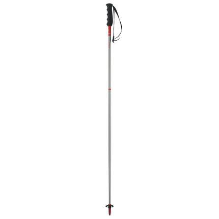 Bâton de ski Elan Rentalrod