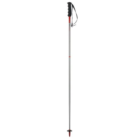 Bâton de ski Elan Rentalrod