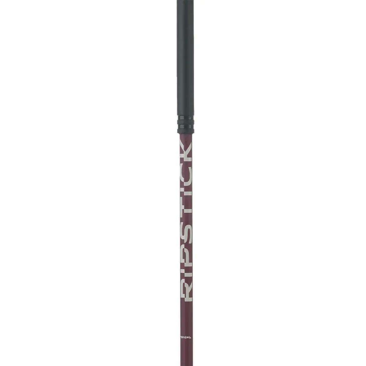 Bâton de ski femme Elan Ripstick 2/2