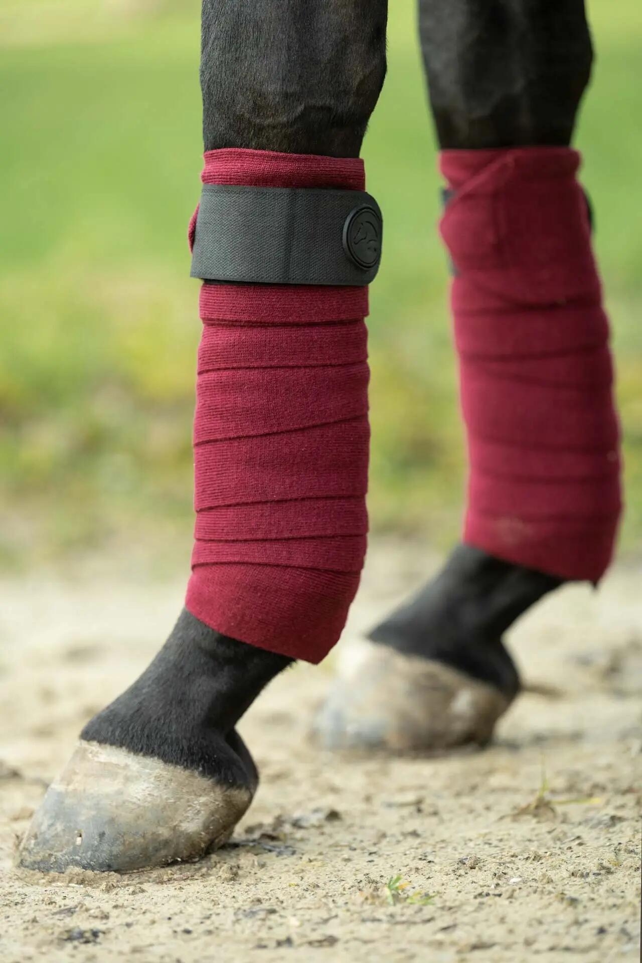 Polostrips voor poolpaarden HKM Combo (x4) 6/6