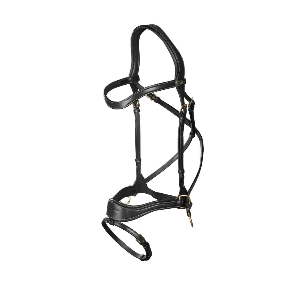 D motion bridle with combined noseband Dy'on