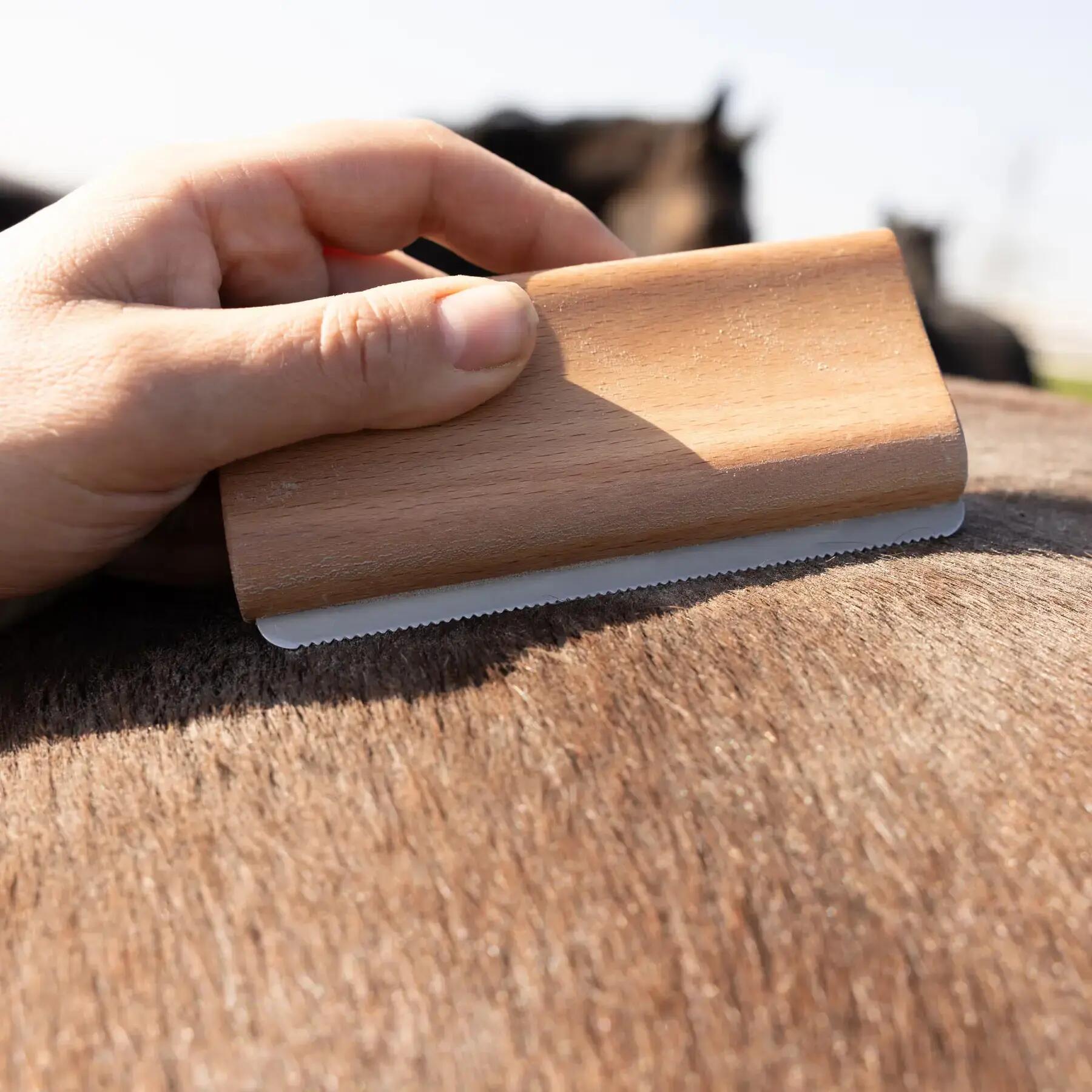 Muilborstel voor paarden Grooming Deluxe 3/5