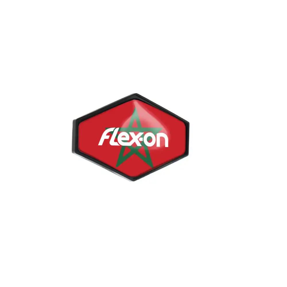 FLEX-ON picture