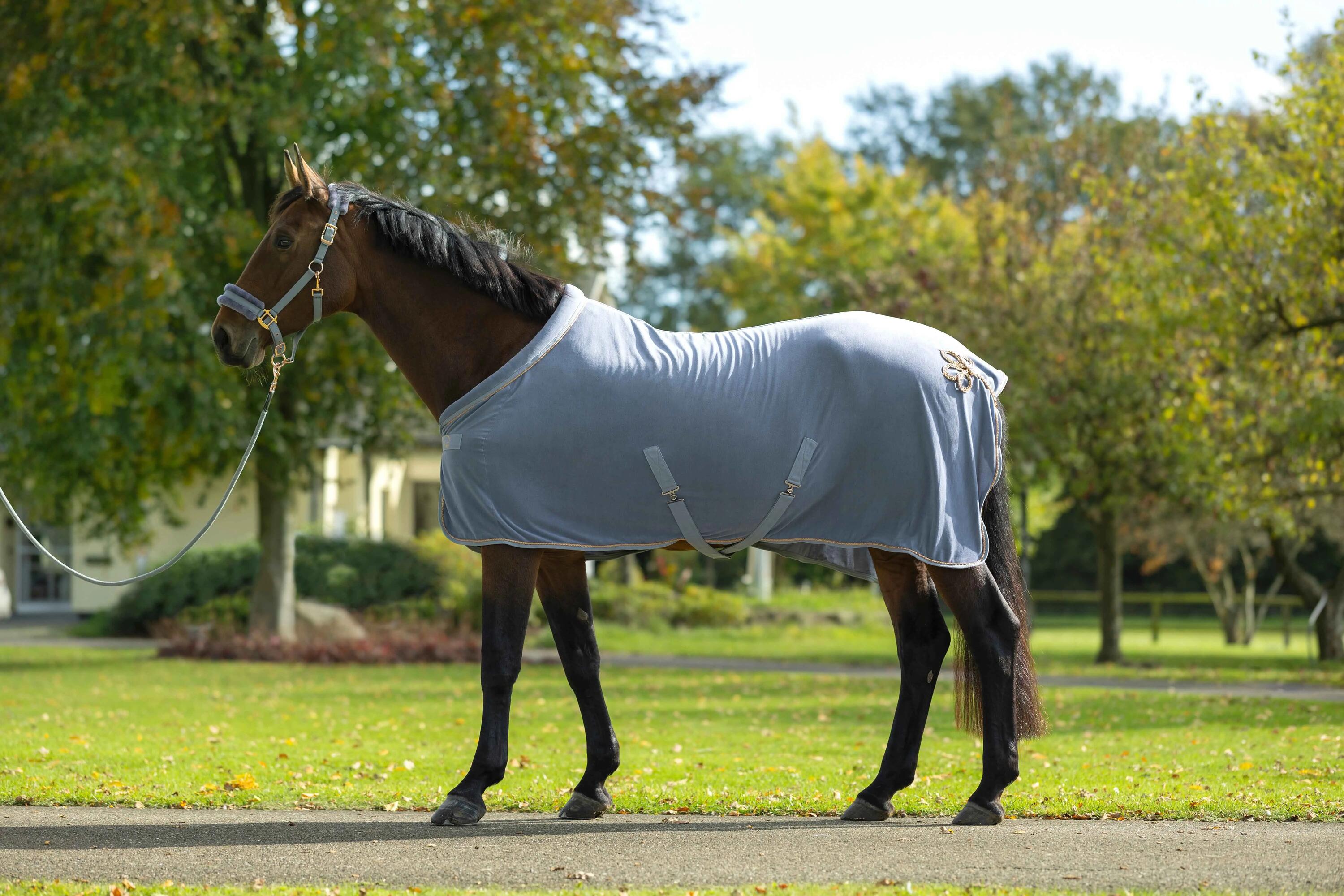 Derka osuszające dla koni HKM Rosegold Glamour 4/6
