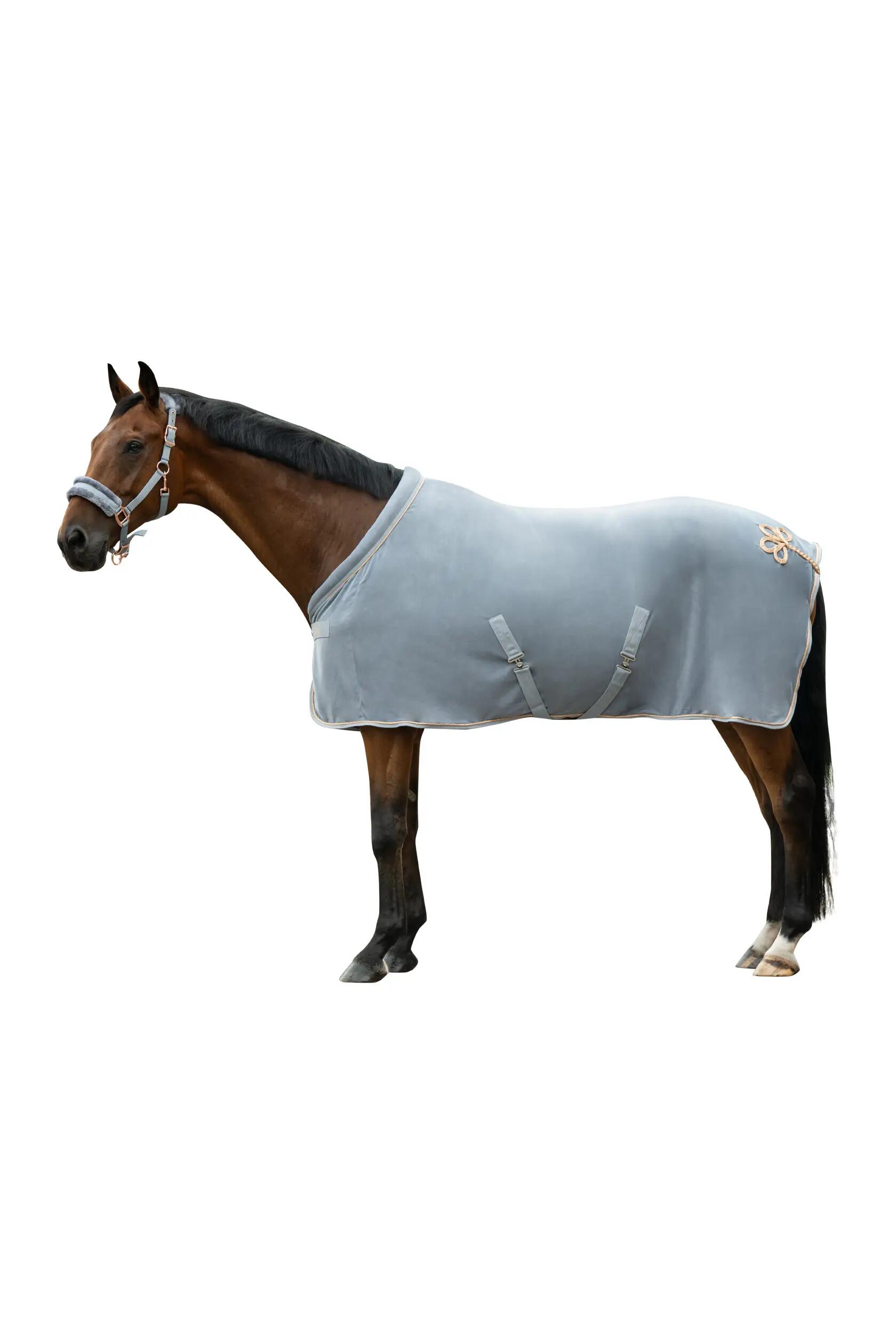 Derka osuszające dla koni HKM Rosegold Glamour 2/6