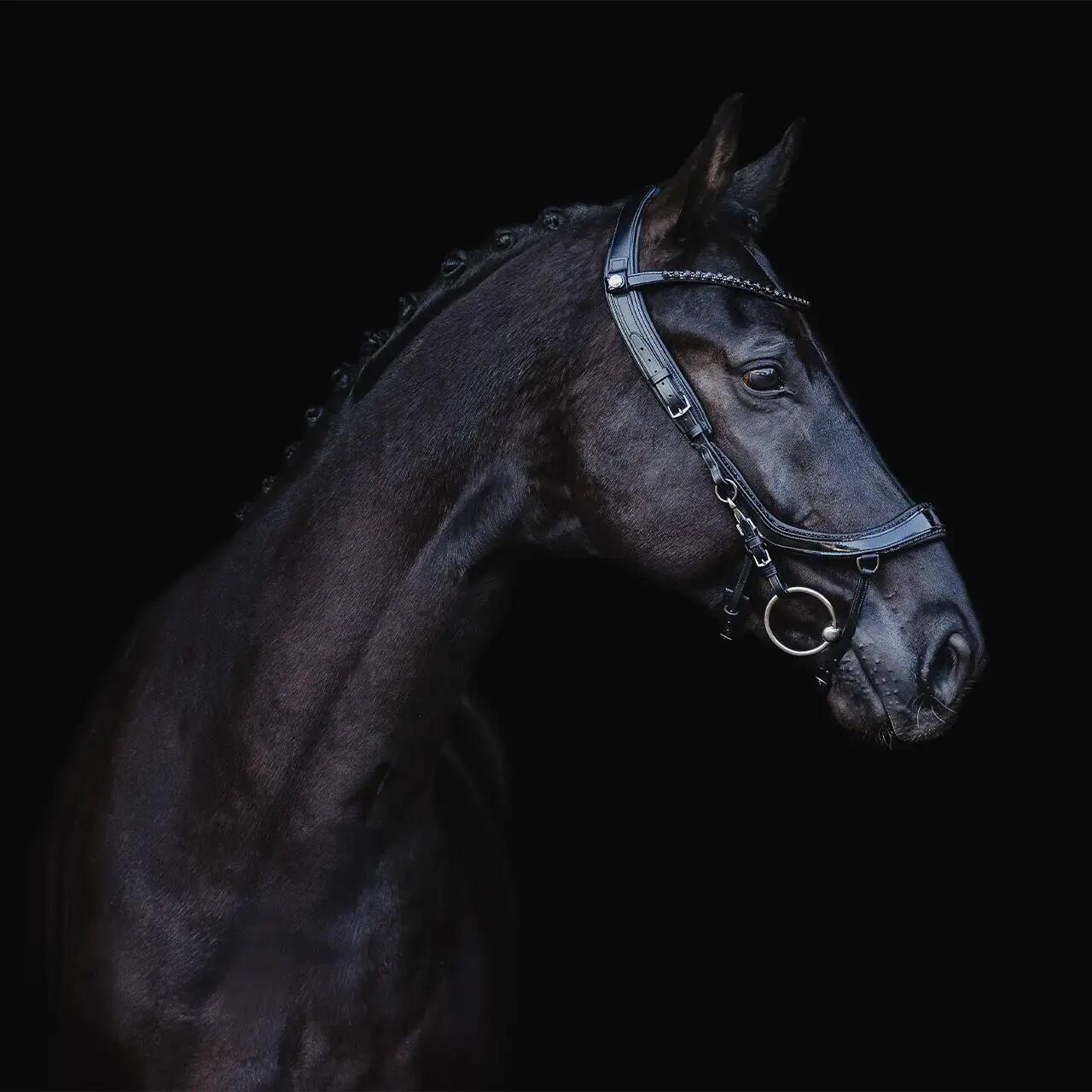 Hoofdstellen voor paarden Presteq FaySport Blackpearl 6/7
