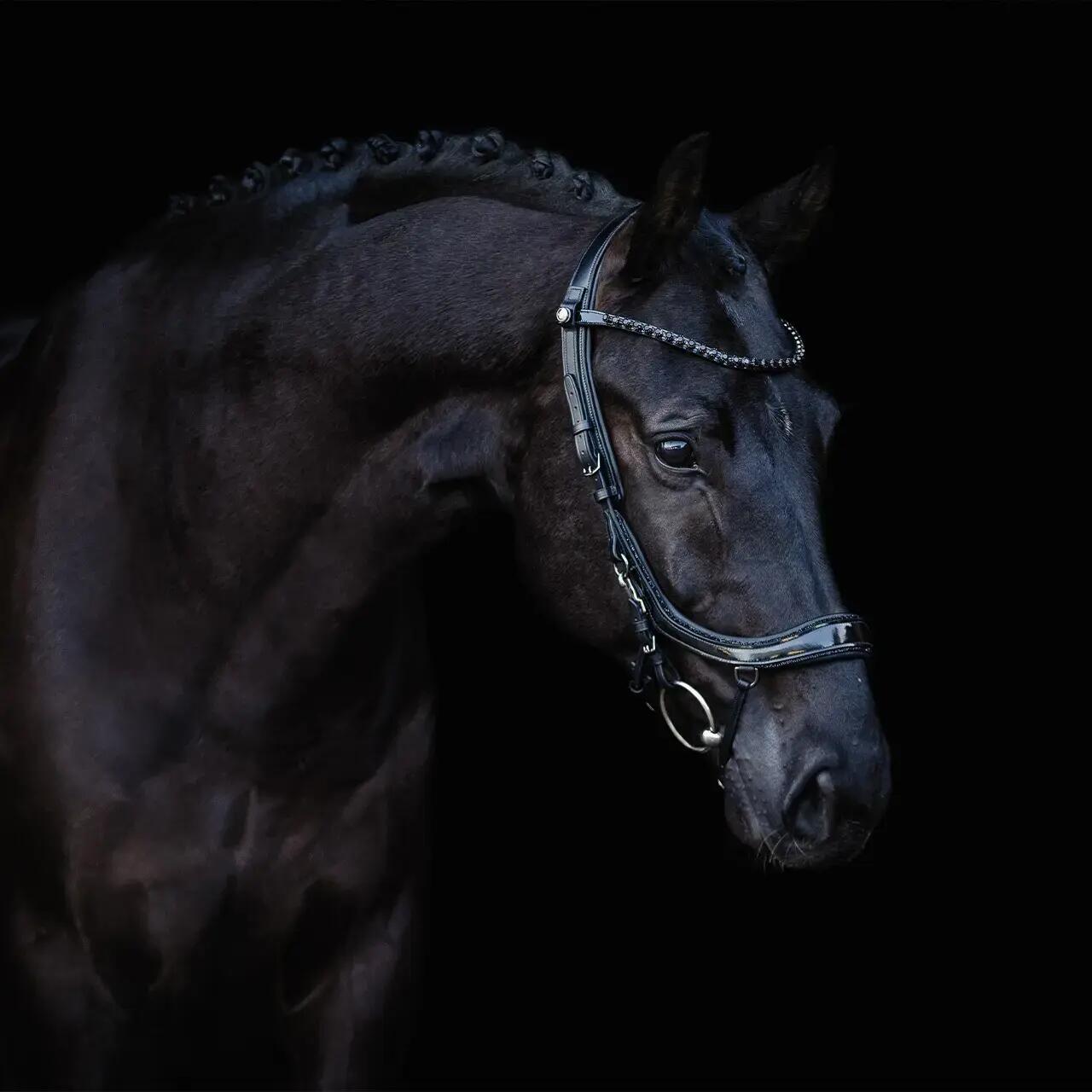 Hoofdstellen voor paarden Presteq FaySport Blackpearl 2/7