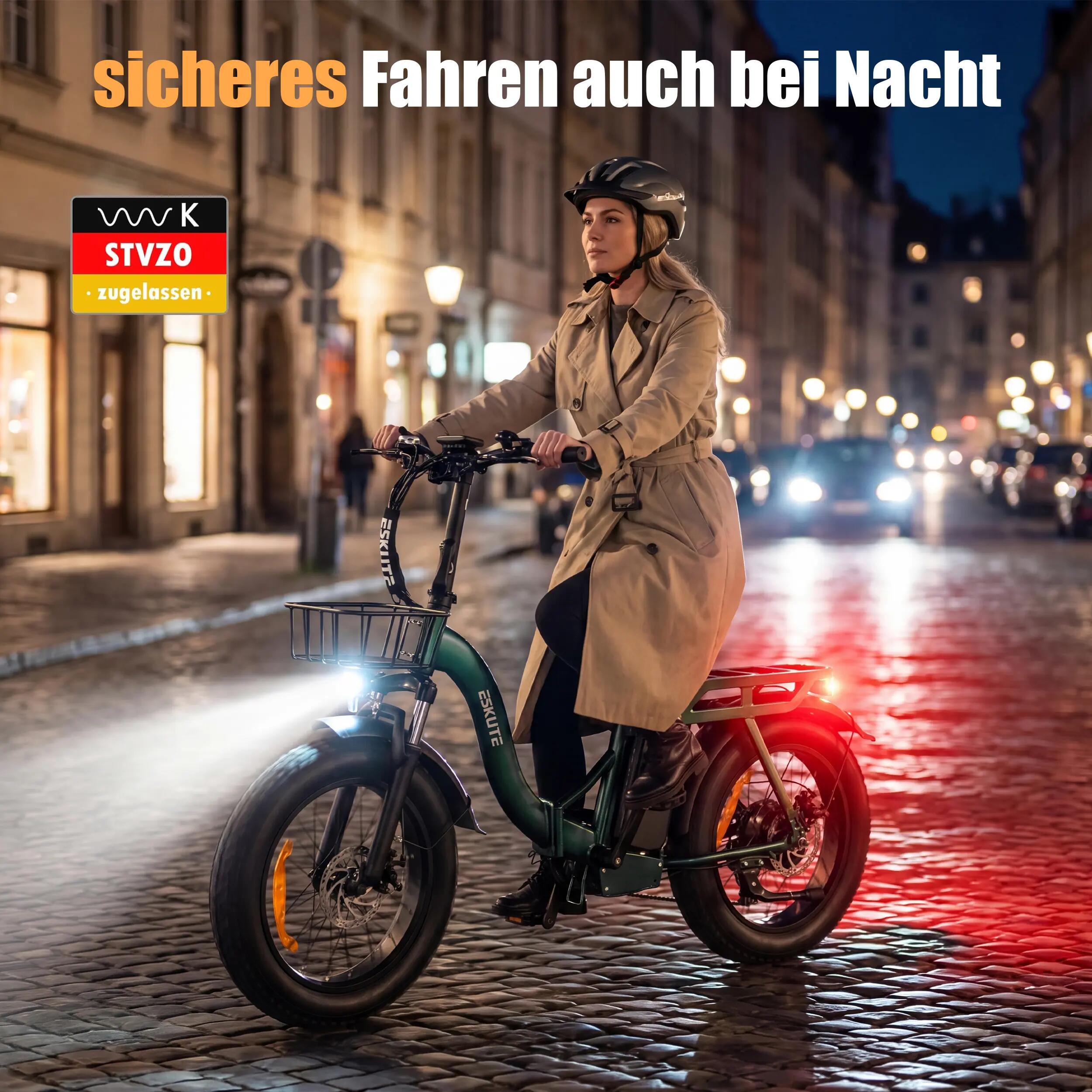 Bicicleta Eléctrica ESKUTE D202｜Motor 250W｜48V 20.8Ah｜Neumático 20" 4/8