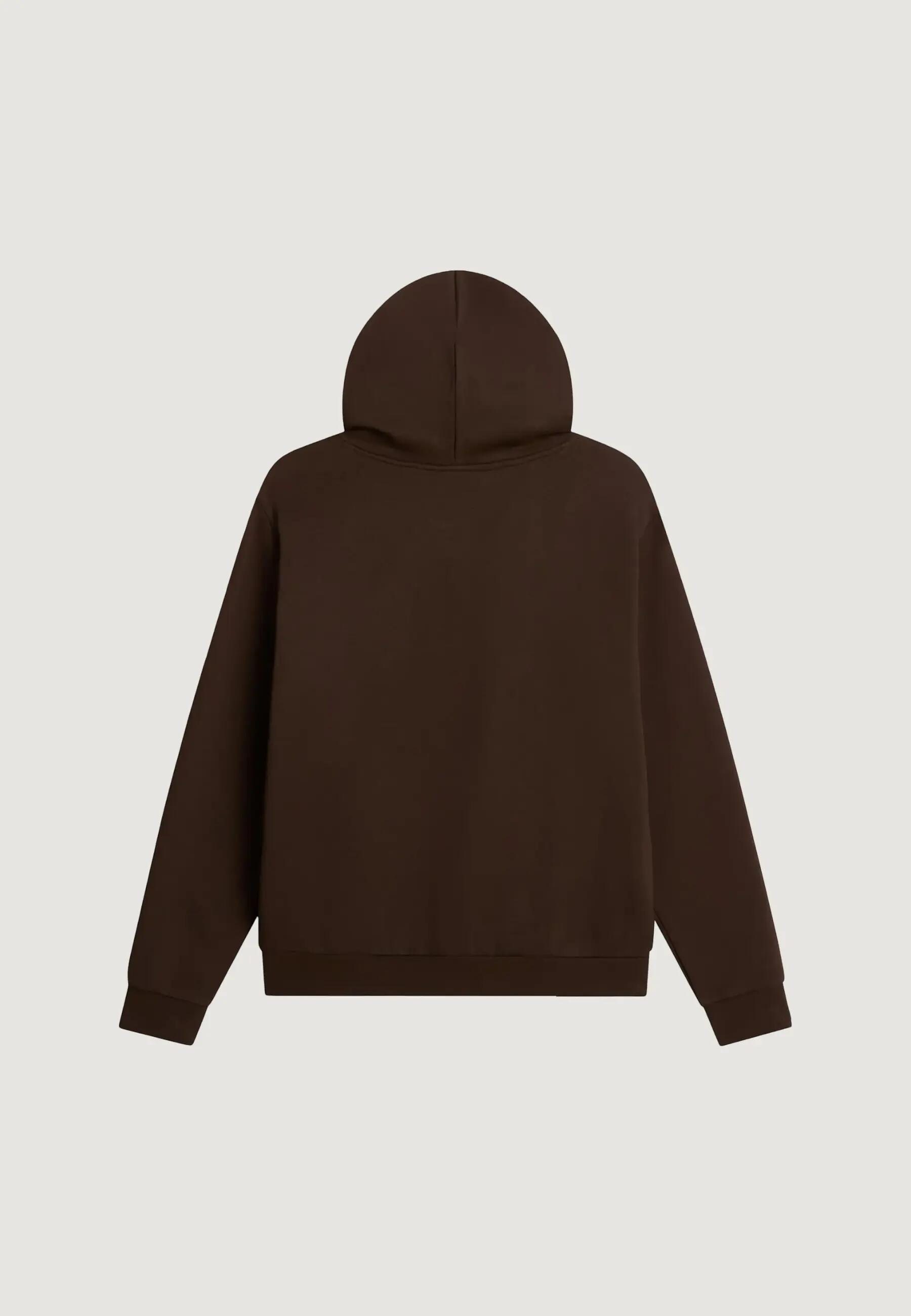 Sweater M EVO SD REG HOODIE HEREN Bruin 3/5
