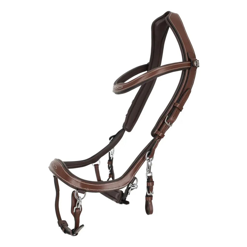Bridles for horses Presteq FaySport Classic
