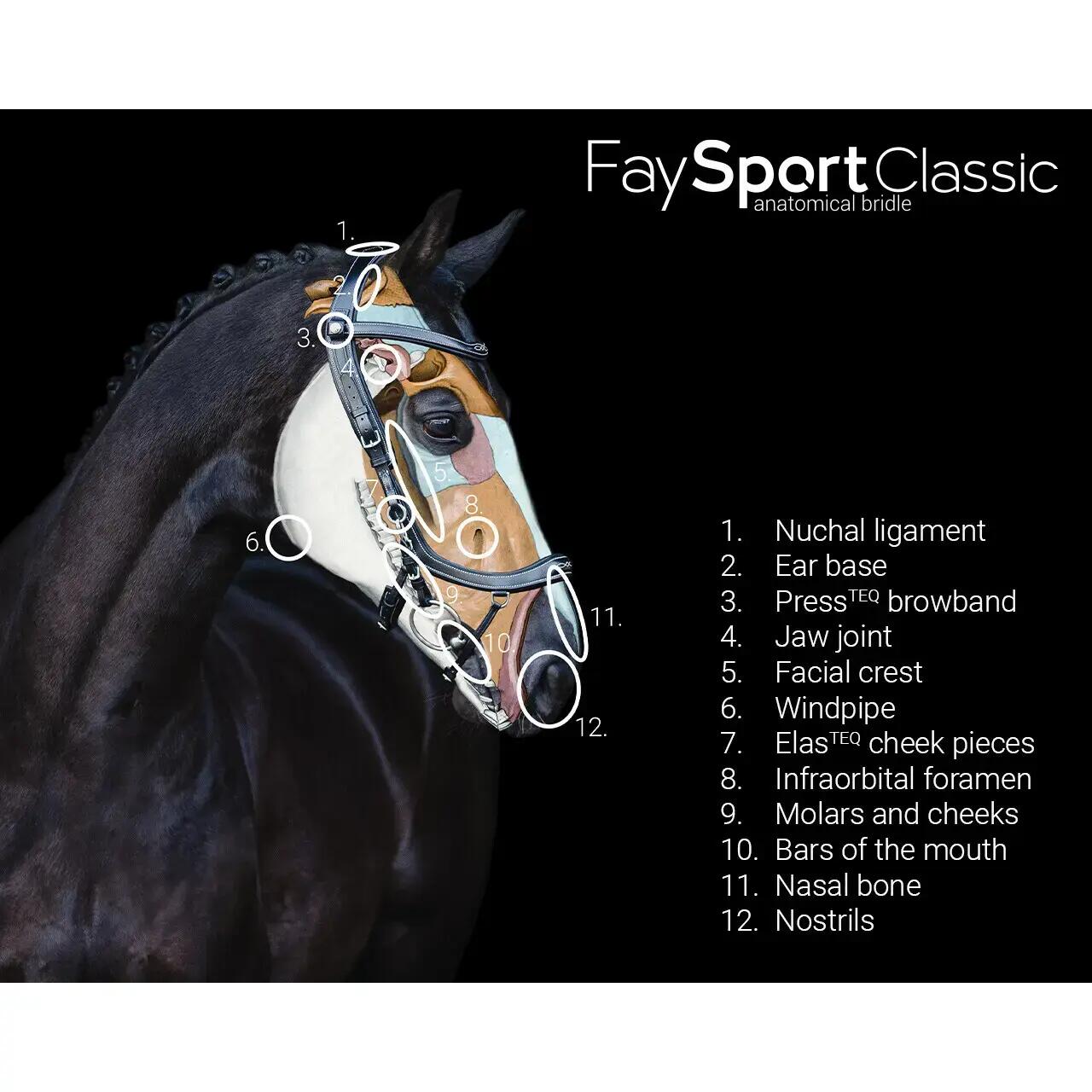 Hoofdstellen voor paarden Presteq FaySport Classic 4/5