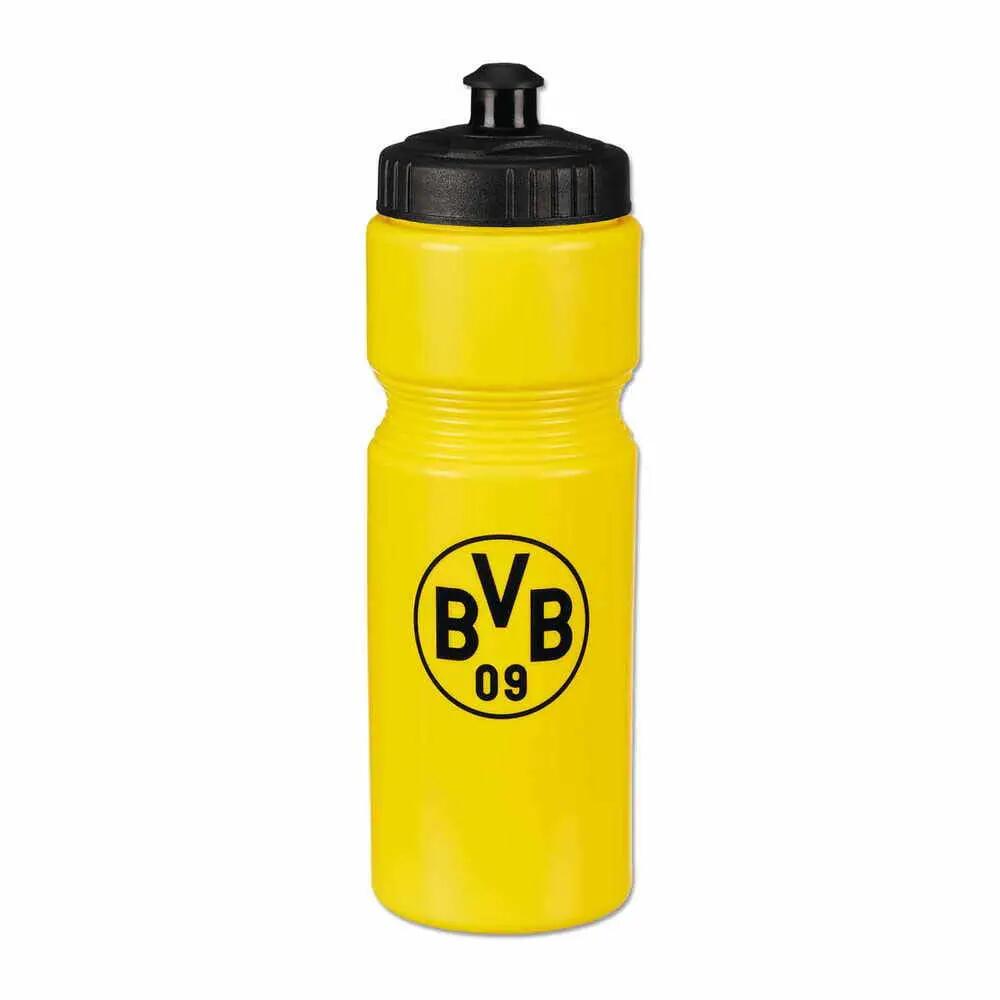 BORUSSIA DORTMUND picture