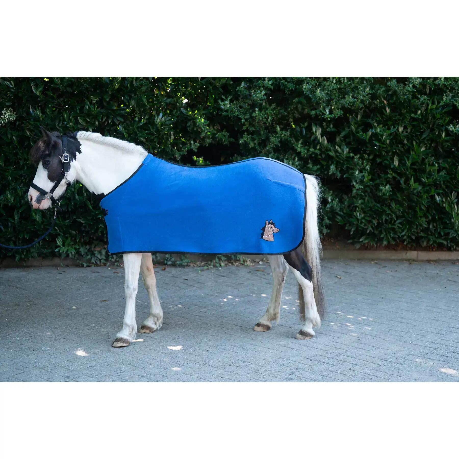 Koc dis pastelowy dla shetland HKM Mia 2/2