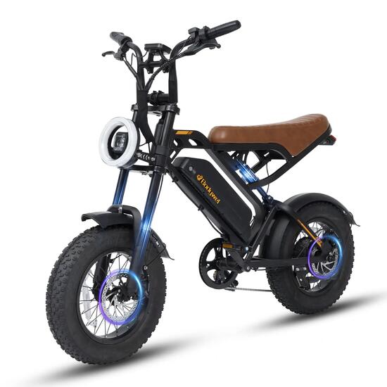 Vélo électrique pour adulte Bodywel M16, batterie 48V 15,6Ah