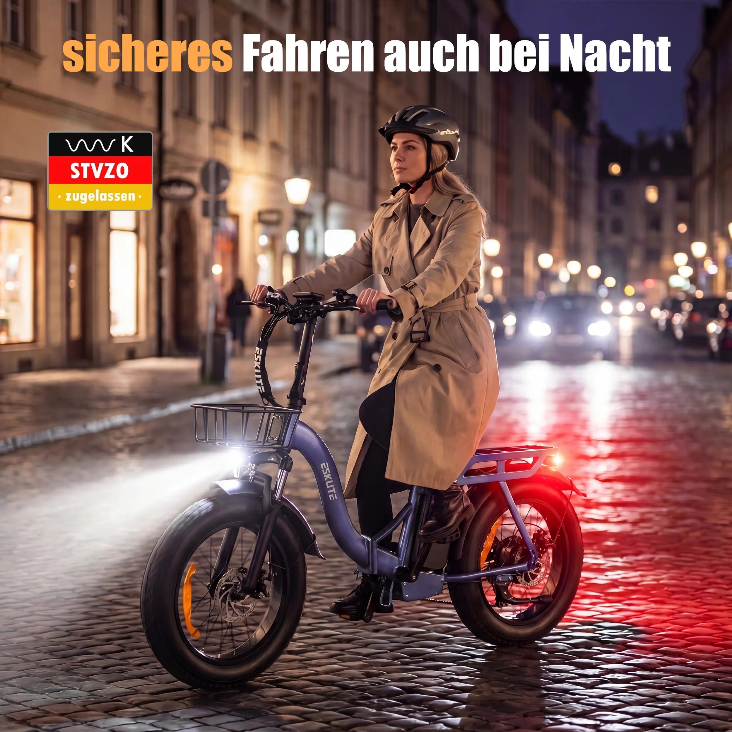 Vélo Électrique ESKUTE D202｜Moteur 250W｜48V 20.8Ah｜Pneu 20" 4/8