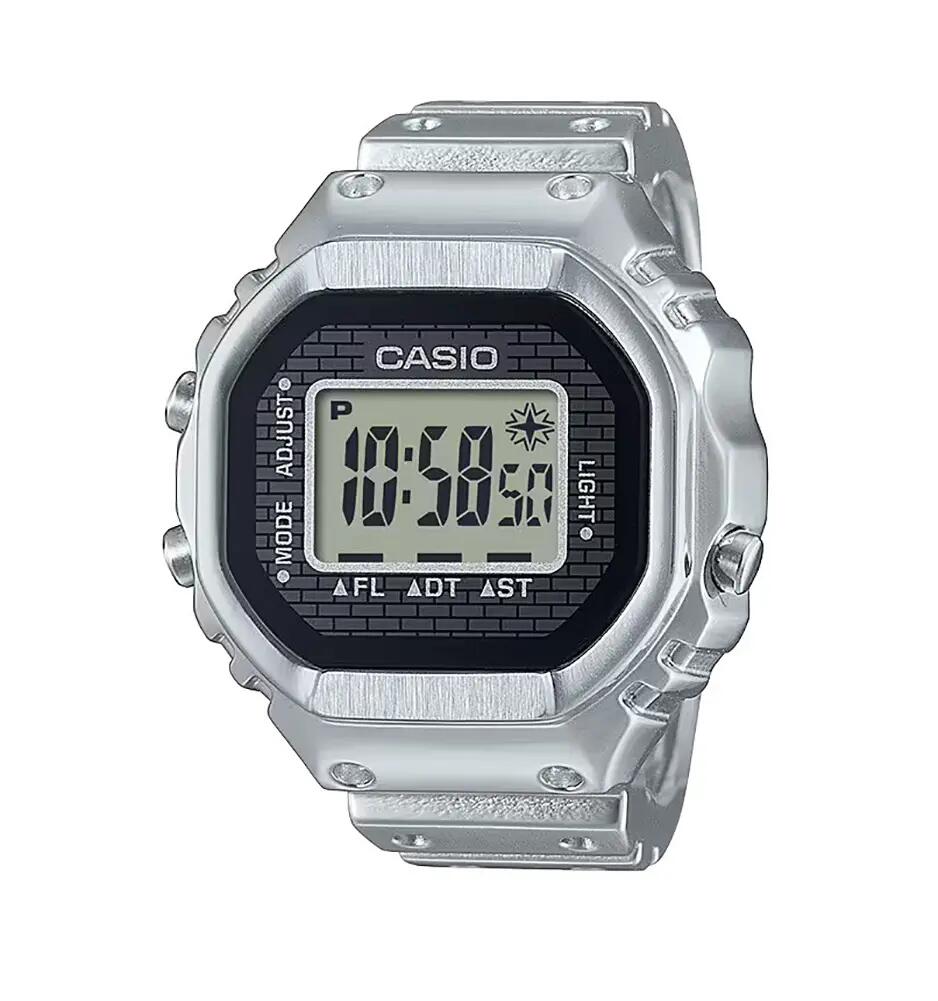 CASIO picture