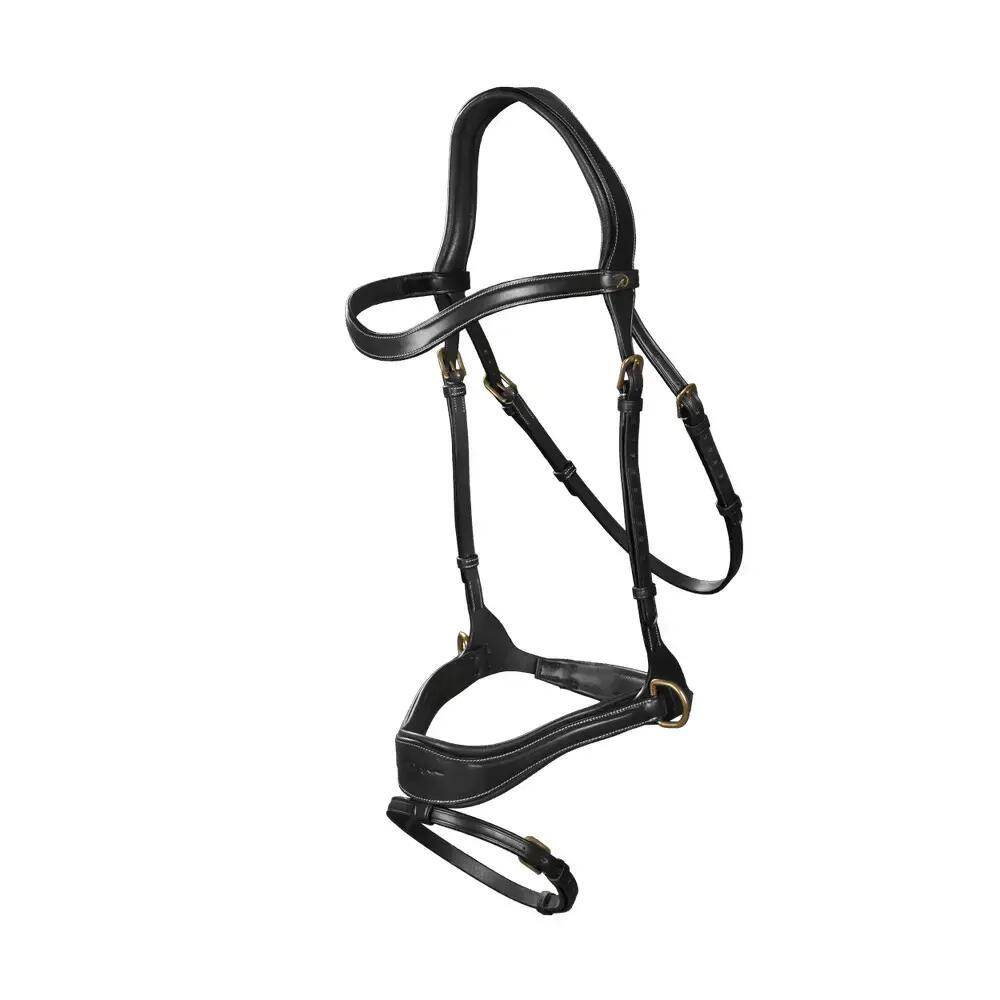 Bridle D motion Kombinationstrense Dy'on 3/3