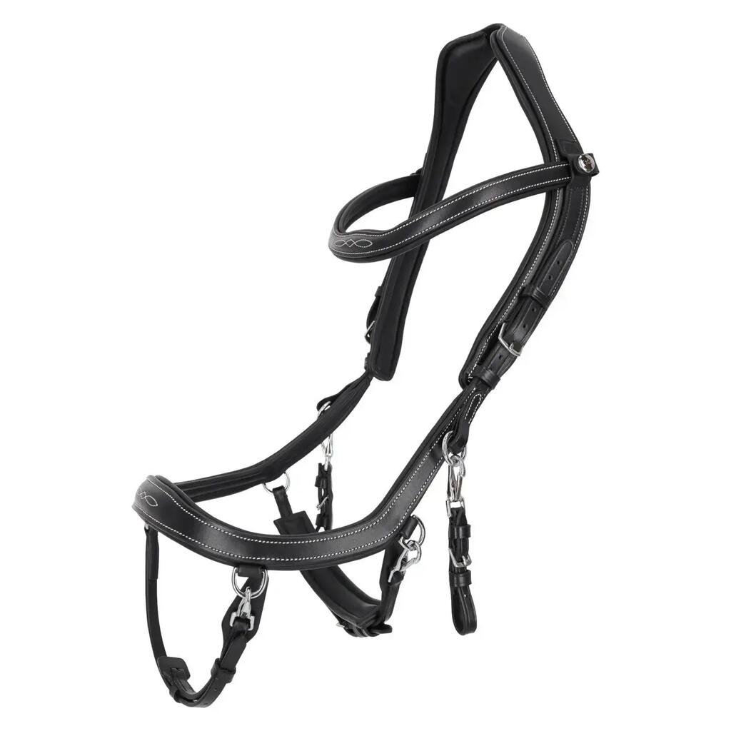 Bridles for horses Presteq FaySport Classic