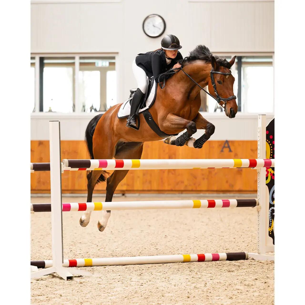 Hoofdstellen voor paarden Presteq FaySport Classic 4/7