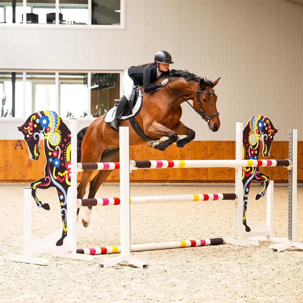 Hoofdstellen voor paarden Presteq FaySport Classic 3/7