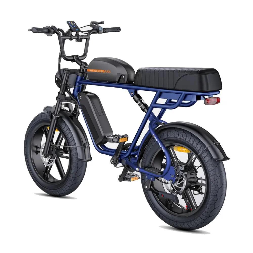 Bicicletta elettrica adulti M1 250W 20" 48V13Ah+15.6Ah Batteria Doppia 4/9