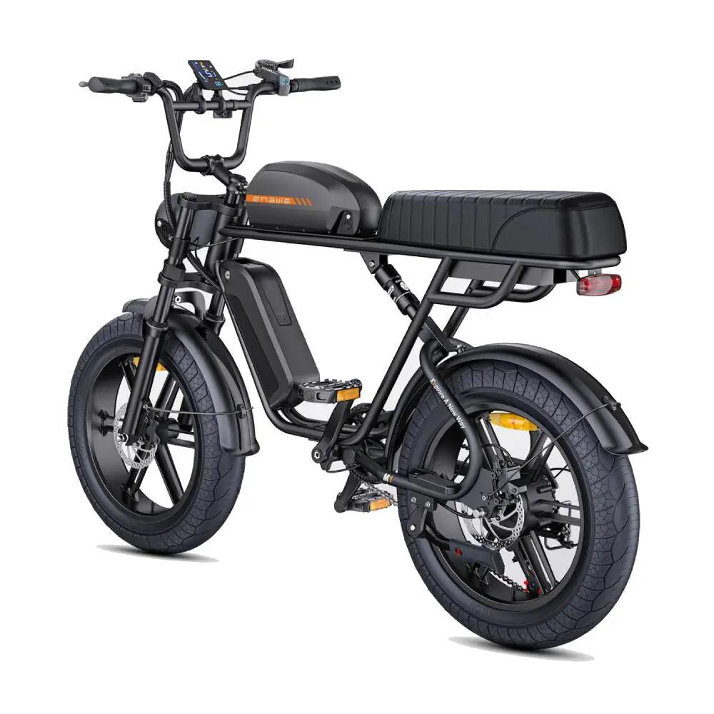 Bicicletta elettrica adulti M1 250W 20" 48V13Ah+15.6Ah Batteria Doppia 3/8