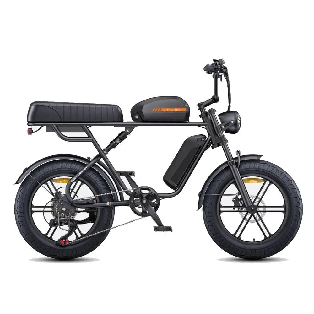 Bicicletta elettrica adulti M1 250W 20" 48V13Ah+15.6Ah Batteria Doppia 2/8