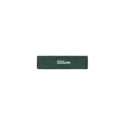 Hoofdband wilson terry logo