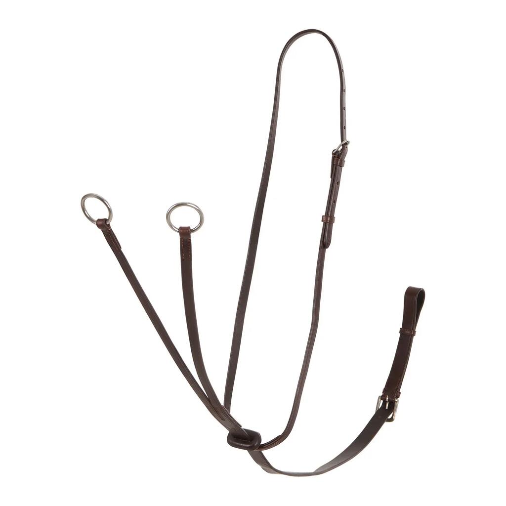 Leather martingale dog collar