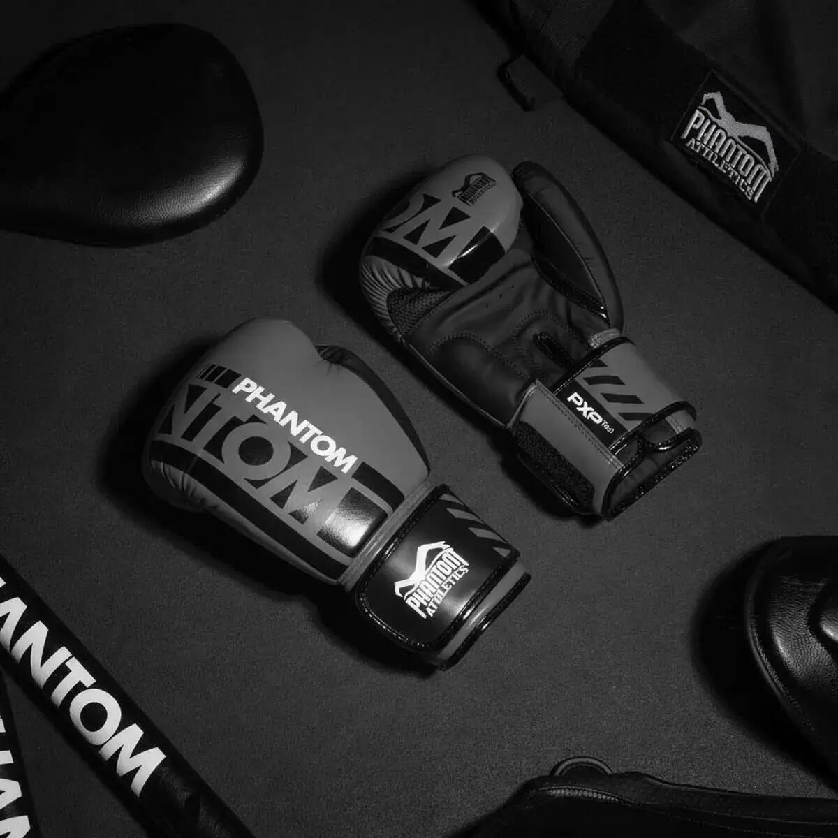 Boxing gloves APEX 5/5