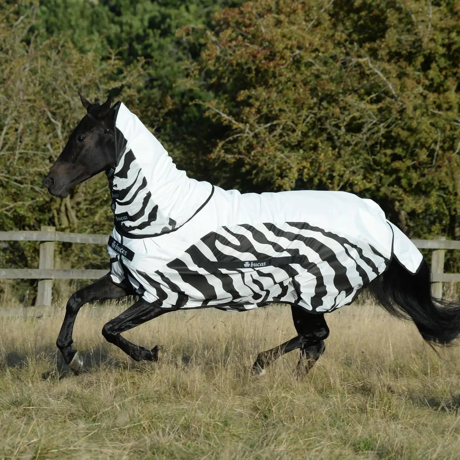 Fliegendecke für Pferde wasserdicht Bucas Rain Zebra 1/3