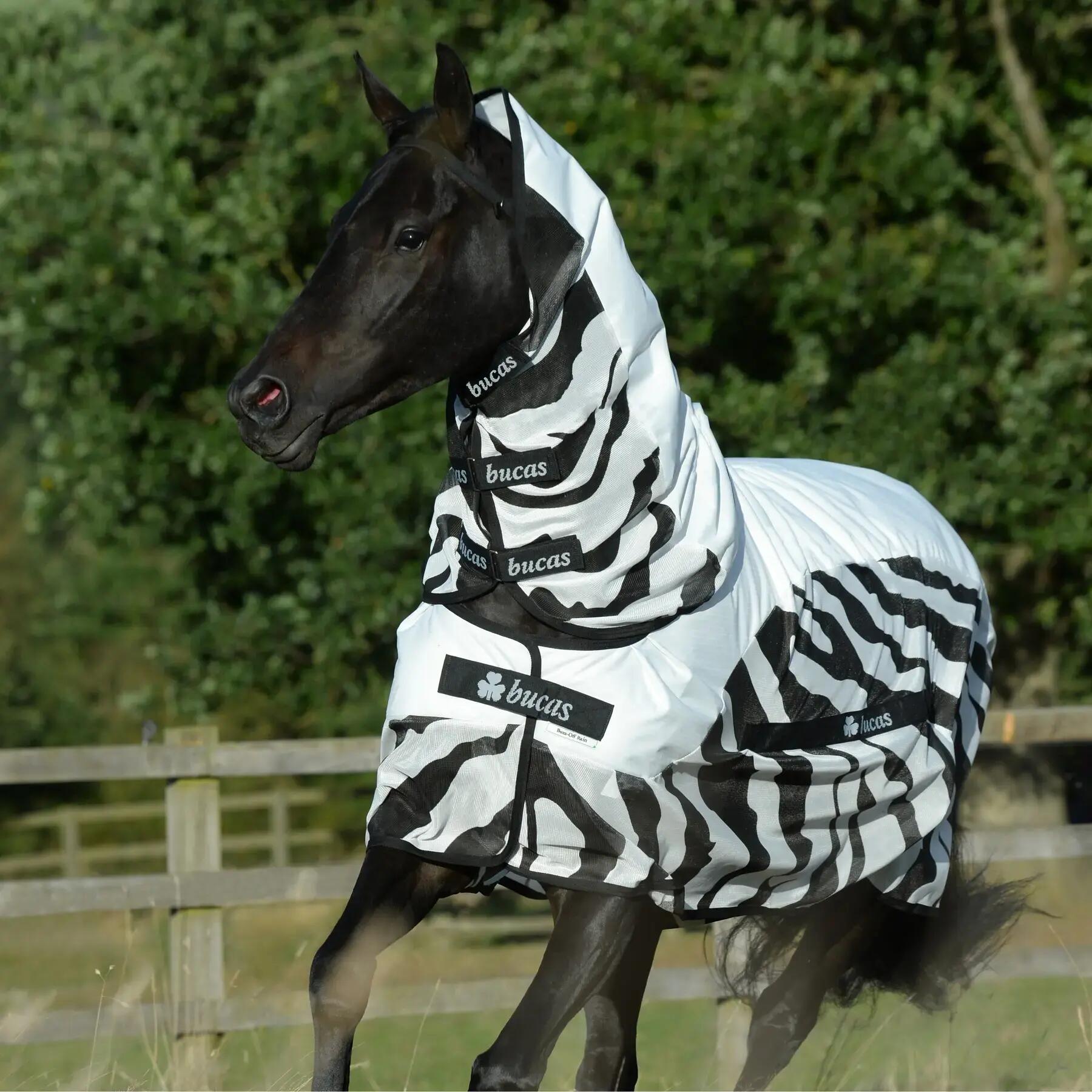 Fliegendecke für Pferde wasserdicht Bucas Rain Zebra 2/3