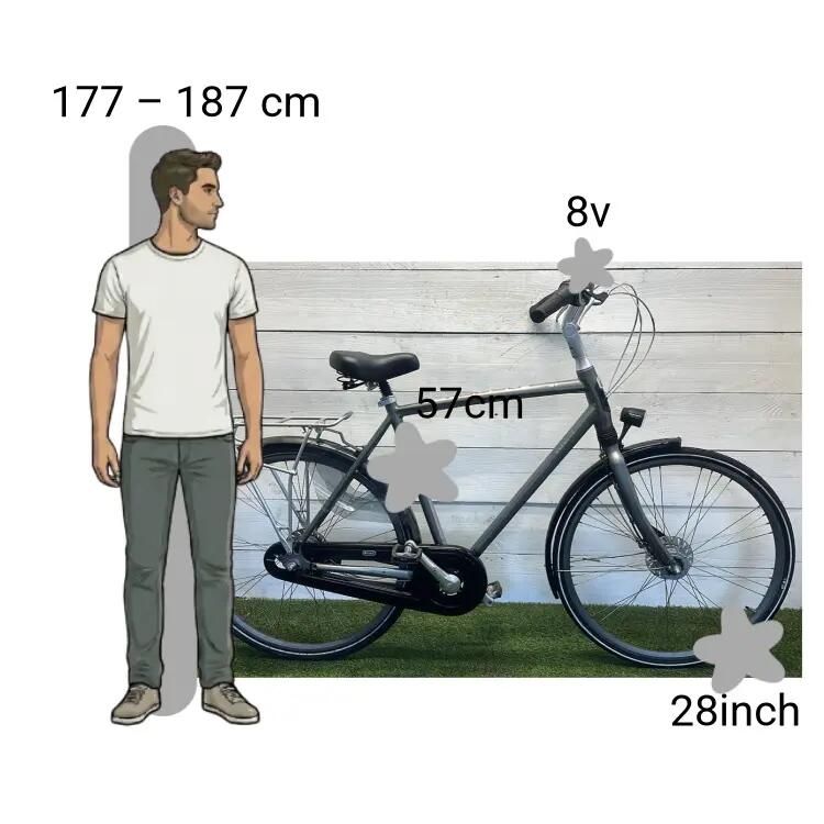Bicicletta usata Batavus Fuego 2/4